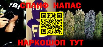 МДПВ Можайск