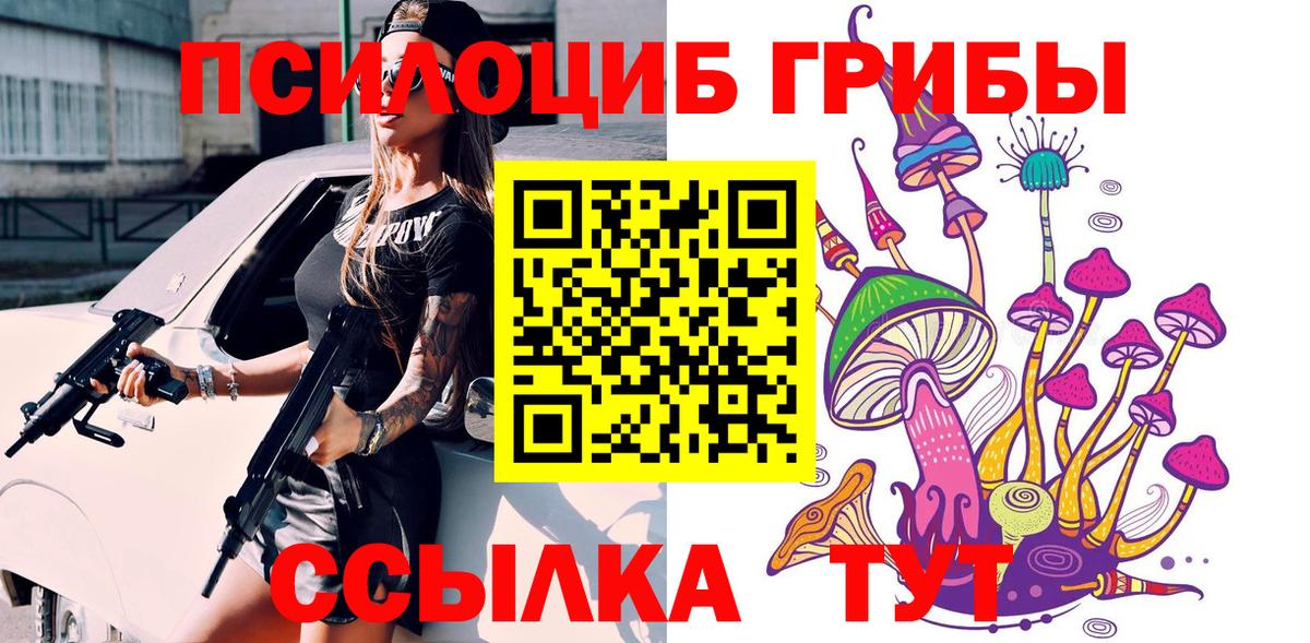 Псилоцибиновые грибы Psilocybine cubensis  Вход с VPN  Ульяновск 