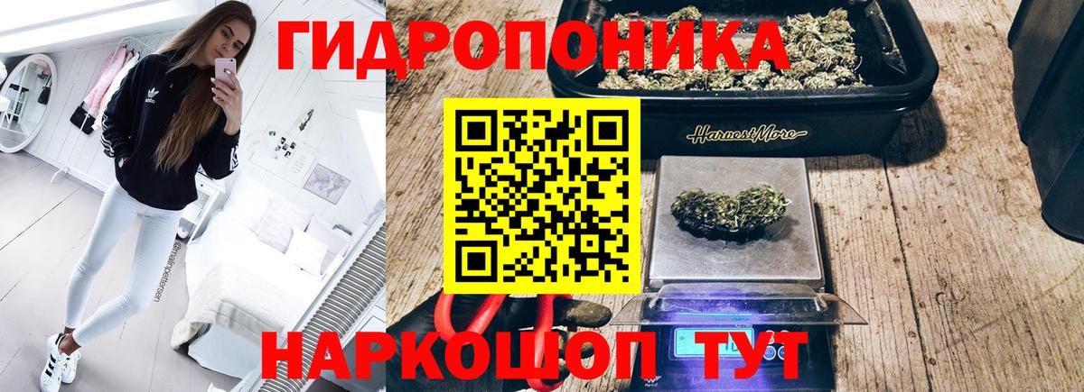 Конопля семена  Вход с VPN  Бошки Шишки индика  Шишки марихуана OG Kush  Ульяновск 